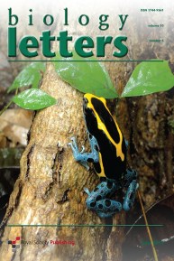 RSBL_10_6_Mockup_cover_RSBL_10_6_cover