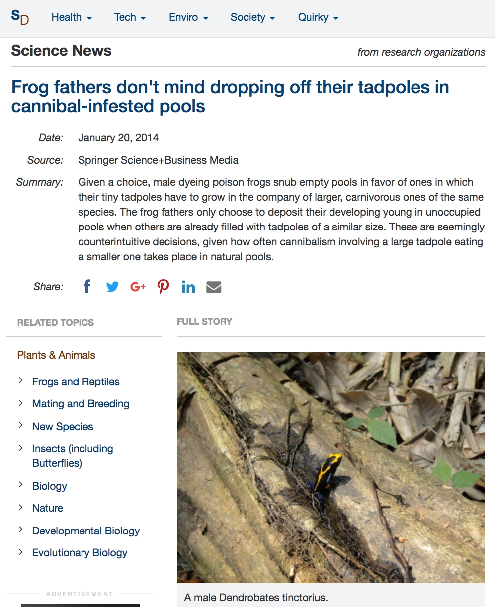 StrangeParentalDecisions