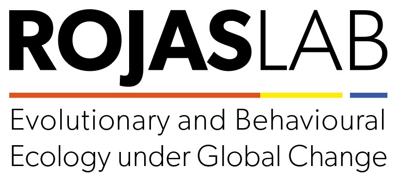 PHOTO-2021-07-02-00-08-09