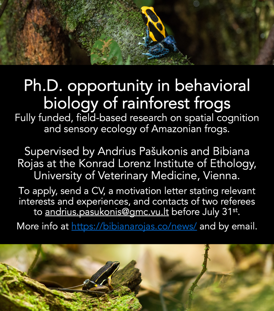 PhD_opportunity_frognavigation